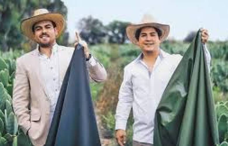 Mexicanos desarrollan textil de nopal (video)