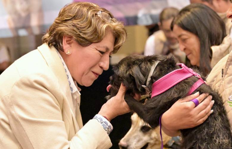 Gobierno del Estado de México inicia la Estrategia CERA: un paso histórico para que los animalitos callejeros tengan un hogar