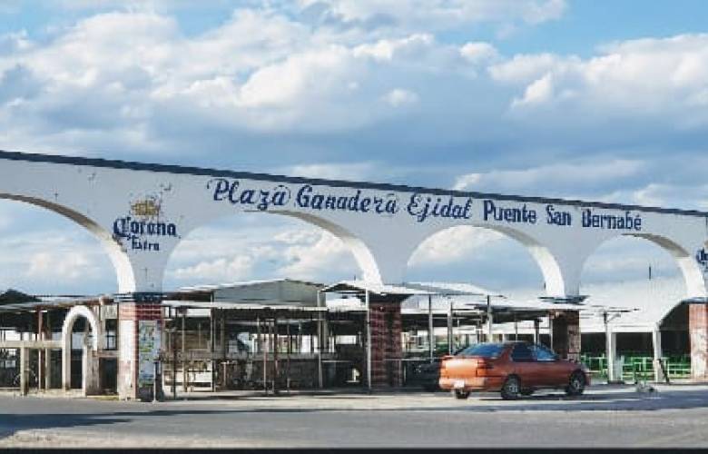 Suspenden las Plazas Ganaderas y Tianguis en Almoloya de Juárez ante Covid-19