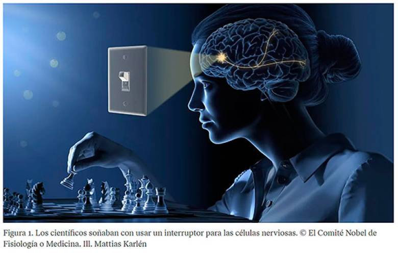 Explica investigador de la UNAM alcance de la optogenética tras Nobel de Medicina 2026