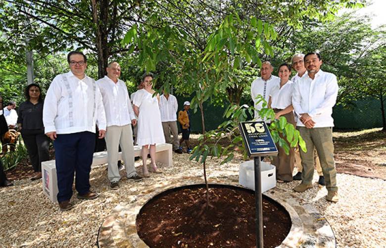Fortalece UNAM su presencia en Yucatán para ampliar el acceso al conocimiento y la investigación