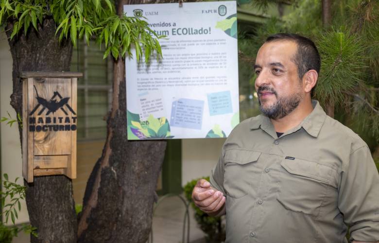 Destacan papel de murciélagos como aliados clave para la agricultura y el ambiente