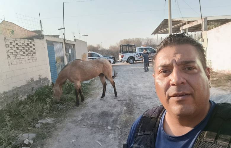 Policía de Ecatepec resguarda a caballo que galopaba en Las Américas