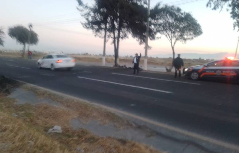 Instalan Dispositivo de Seguridad Vial en Carretera Toluca-Atlacomulco para Protección de Peatones