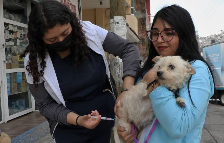 Cuida Huixquilucan la salud de las mascotas con atención médica especializada 