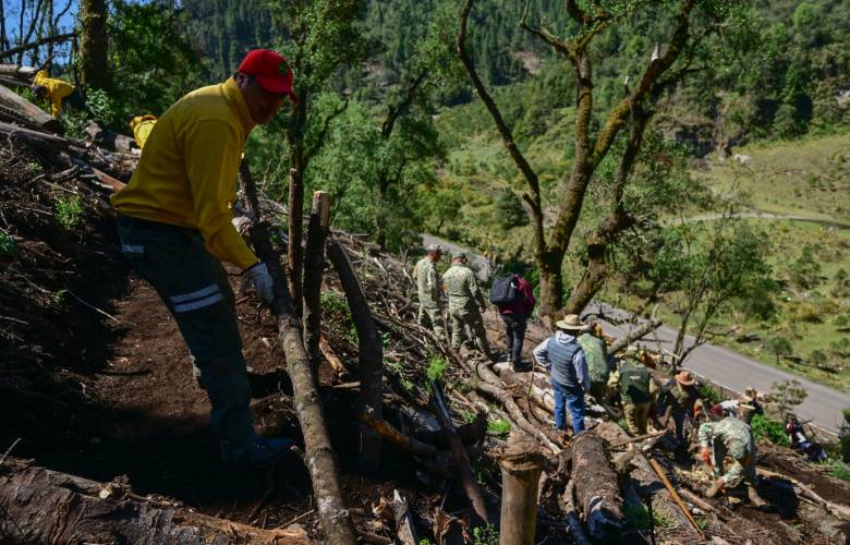 Realiza EdoMéx trabajos para frenar erosión y preparar reforestación en Ocuilan