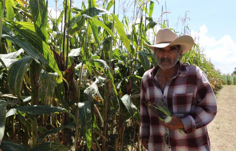 Gobierno del EdoMéx publica reglas de operación del Programa de Apoyo a la Producción de Maíz en el Campo Mexiquense