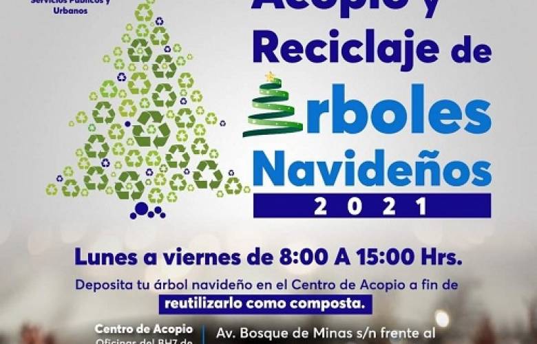 Cuenta Huixquilucan con centro de acopio y reciclaje de árboles de navidad