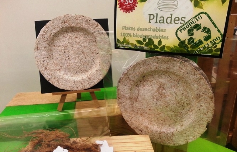 Crean platos desechables biodegradables con fibra de coco