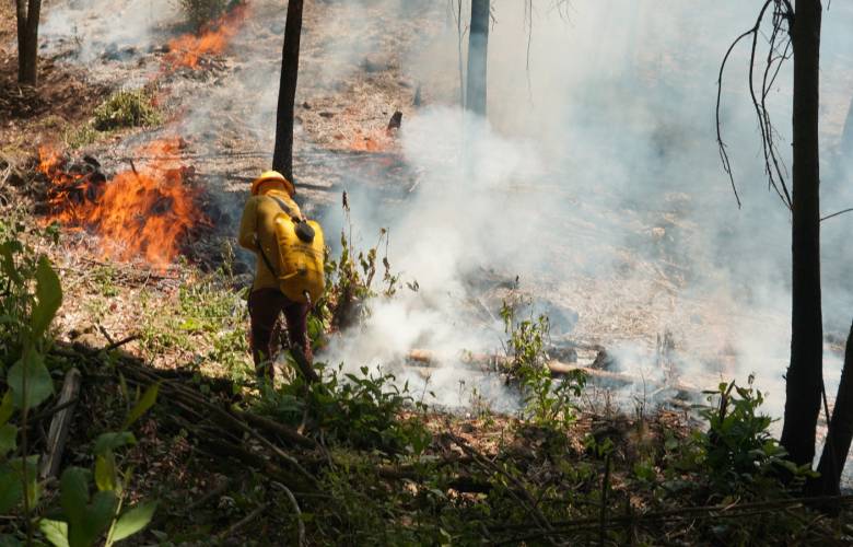 La principal causa de los incendios forestales es el descuido humano: Probosque