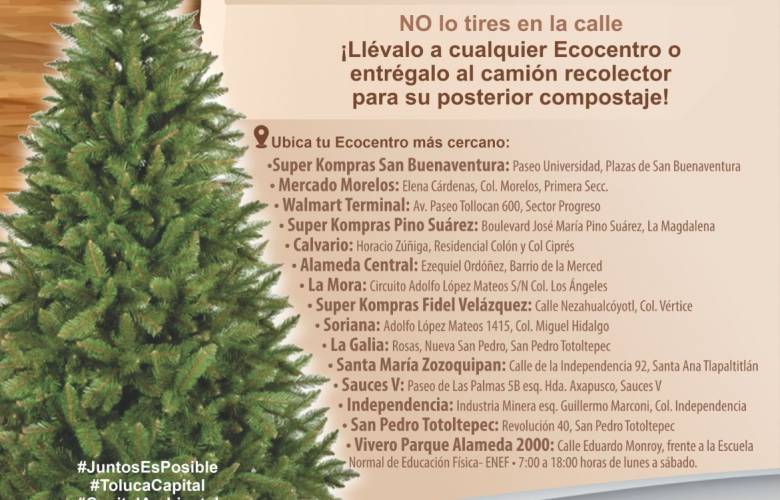 Campaña de acopio de árboles naturales de navidad en Toluca. | Oscar Glenn  Comunicación