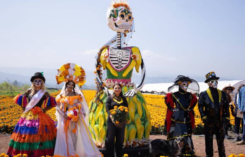 Reporta CDMX producción de casi 10 millones de plantas de cempasúchil para el Día de Muertos