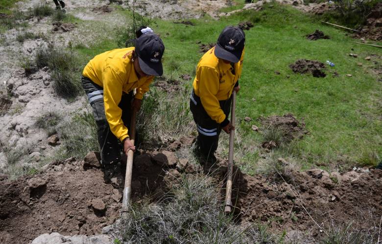 Inicia EdoMéx campaña de restauración forestal 2026 para recuperar ecosistemas y prevenir inundaciones