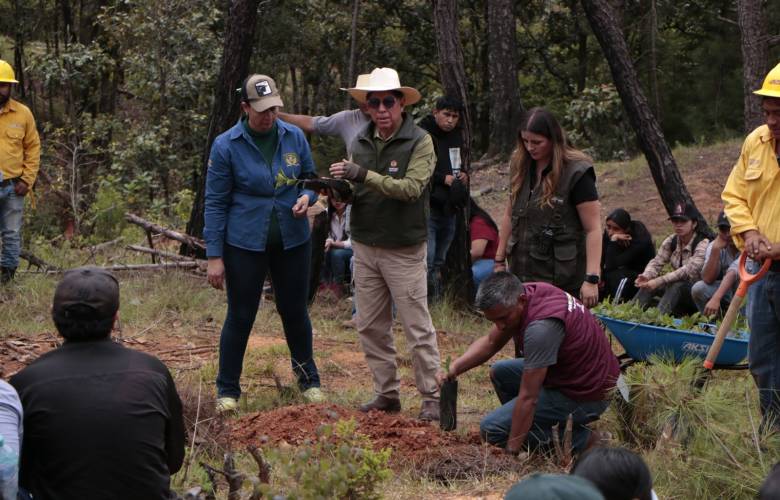 Restaura Probosque dos hectáreas forestales con apoyo de estudiantes en Temascaltepec
