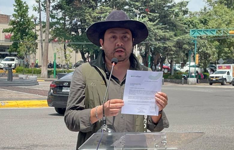 Exigen ambientalistas transparentar retiro de árboles en Paseo Colón