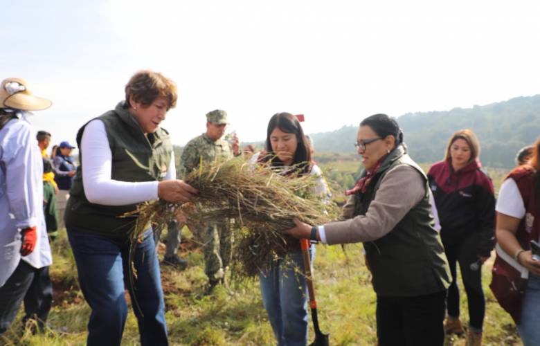 Encabezan Delfina Gómez y Rosa Icela Rodríguez jornada de reforestación en Temoaya