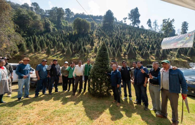 Impulsa Verde Edoméx comercio local de árboles de Navidad