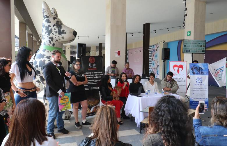 Realiza toluca 20 mil 500 esterilizaciones durante el presente año