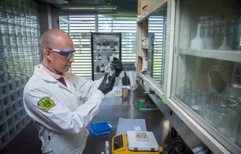 Realizan en UAEMéx 627 investigaciones relacionadas con los Objetivos de Desarrollo Sostenible de las Naciones Unidas 