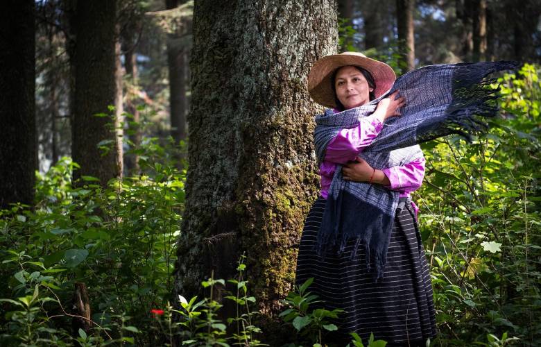 Más de 400 mil mexiquenses se identifican como indígenas: Consejo Estatal de Población