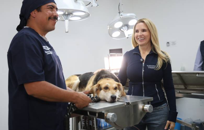 Huixquican ha salvado a más de 4 mil 900 mascotas 