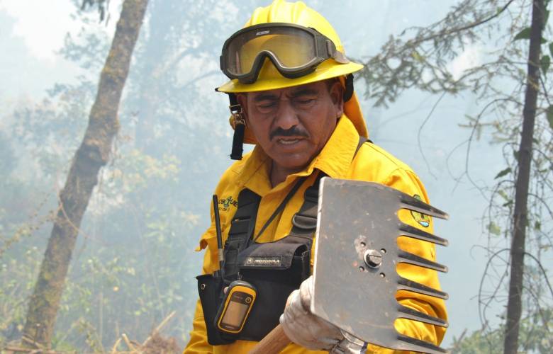 Viento, sequía y altas temperaturas son factores que complican el combate de incendios forestales