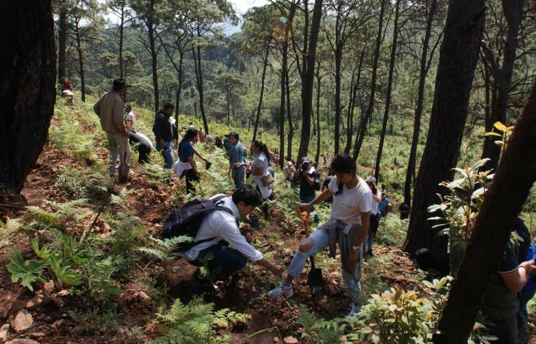 Impulsa GEM restauración ecosistémica en Monte Alto 