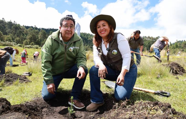 Impulsa Ocoyoacac reforestación con meta de plantar más de 30 mil árboles durante 2026