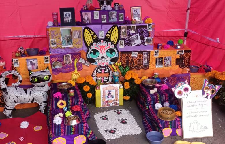 Instalan primera ofrenda para mascotas fallecidas en Atlacomulco