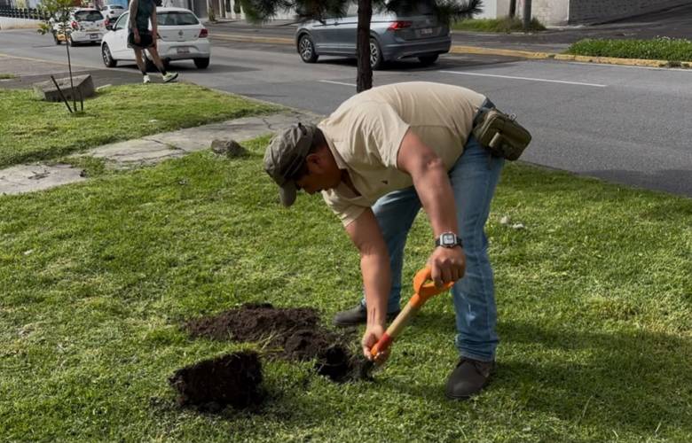 Planta Toluca 12 mil árboles en un fin de semana para fortalecer áreas verdes