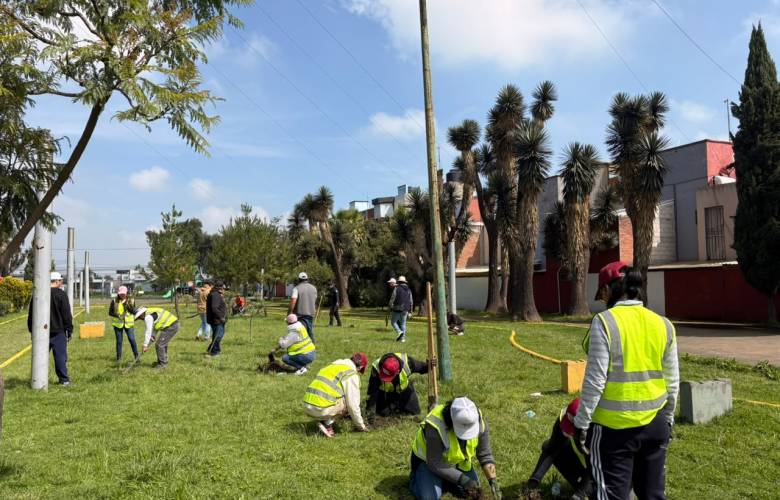 Avanza Toluca con la plantación de 15 mil árboles durante jornada de restauración ambiental