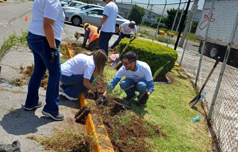 Impulsa Toluca jardines polinizadores para recuperar espacios públicos