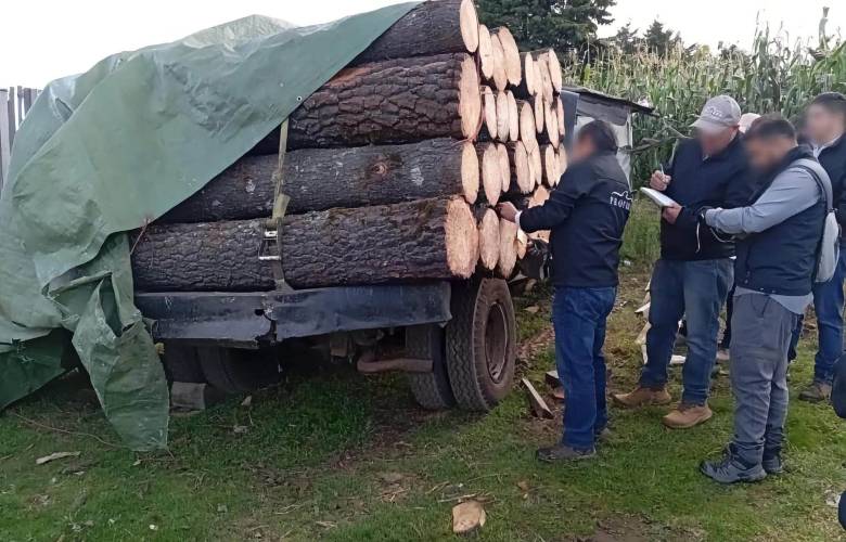 Aseguran madera y cinco vehículos tras localizar aserradero clandestino en Xalatlaco