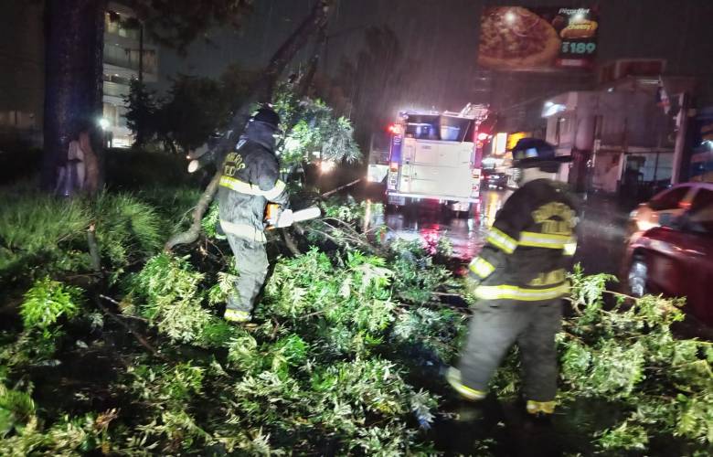 Atienden equipos municipales afectaciones por lluvia durante la madrugada en Toluca