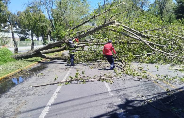 Refuerza Toluca operativo por lluvias y atiende afectaciones en distintos puntos del municipio