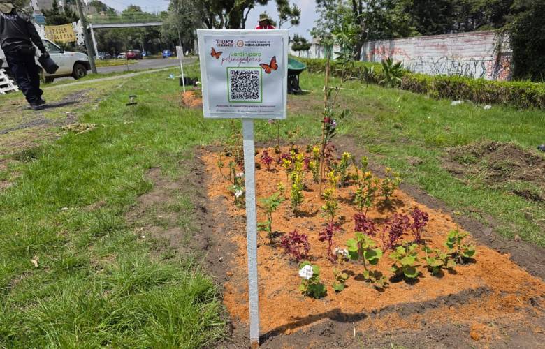 Avanza Toluca en la creación de jardines polinizadores para proteger la biodiversidad