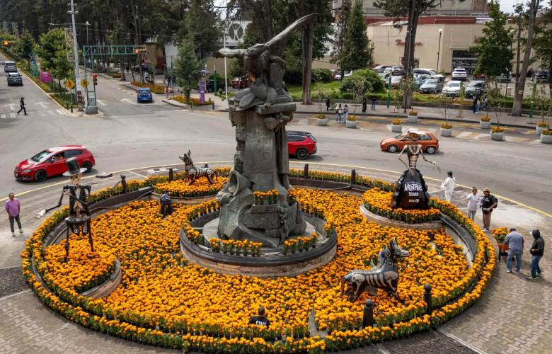 Decora Toluca Paseo Colón con cempasúchil para celebrar el Día de Muertos