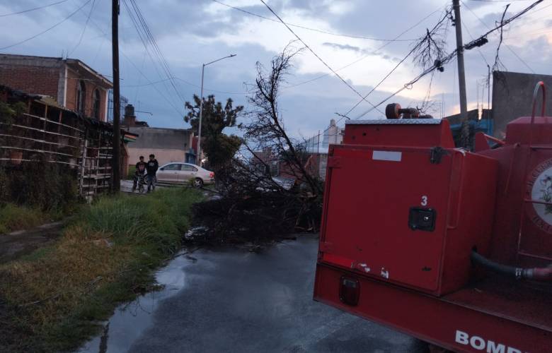Atiende Toluca caída de árboles y afectaciones por lluvias en distintas zonas del municipio