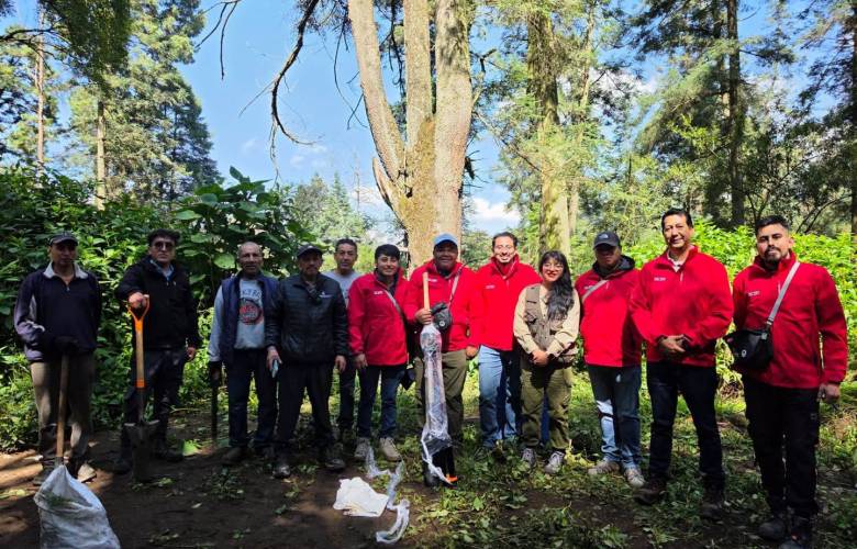 Impulsa Ocoyoacac restauración forestal con plantación de mil 200 oyameles