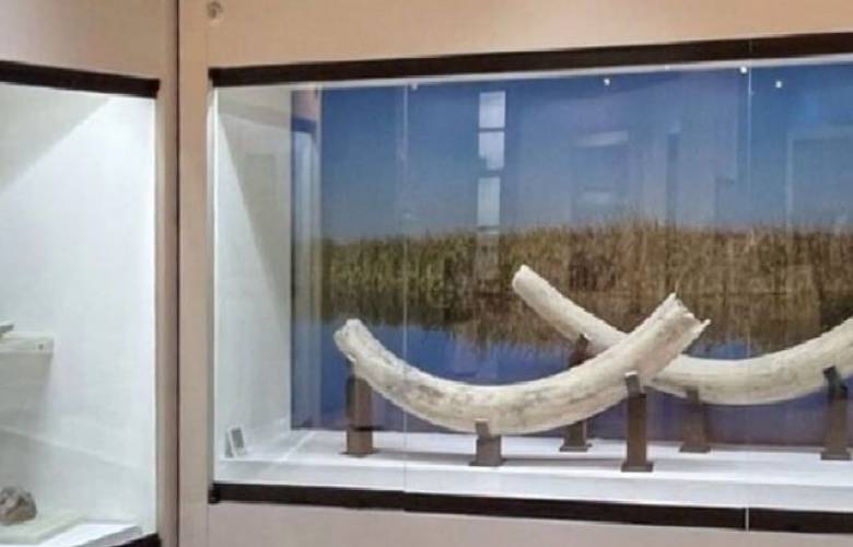 Invita San Mateo Atenco a recorrer el Museo de las Culturas Lacustres y su nueva exposición artística