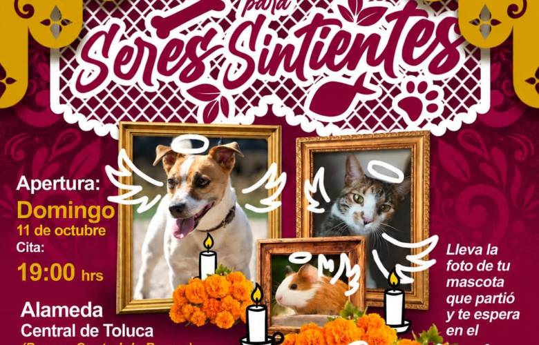Invita Toluca a honrar la memoria de las mascotas fallecidas con la Gran Ofrenda para Seres Sintientes