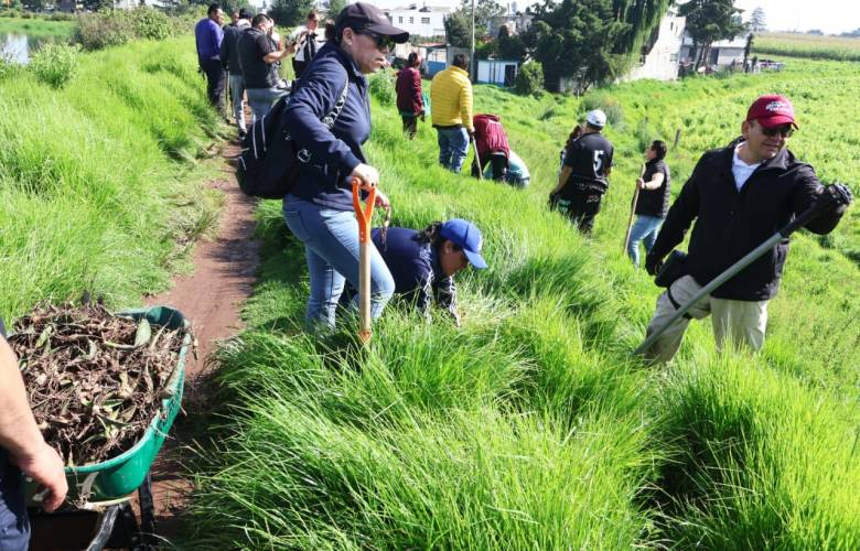 Impulsa Toluca estrategia de arborización para ampliar áreas verdes | #OscarGlenn