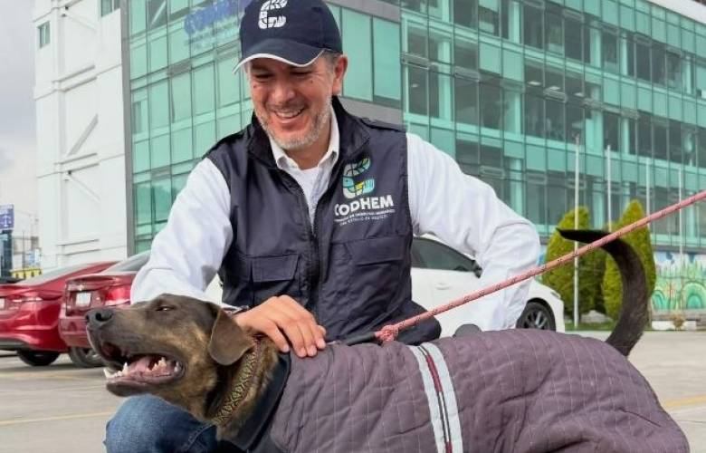 Promueve CODHEM protocolos para fortalecer bienestar y trato digno de animales