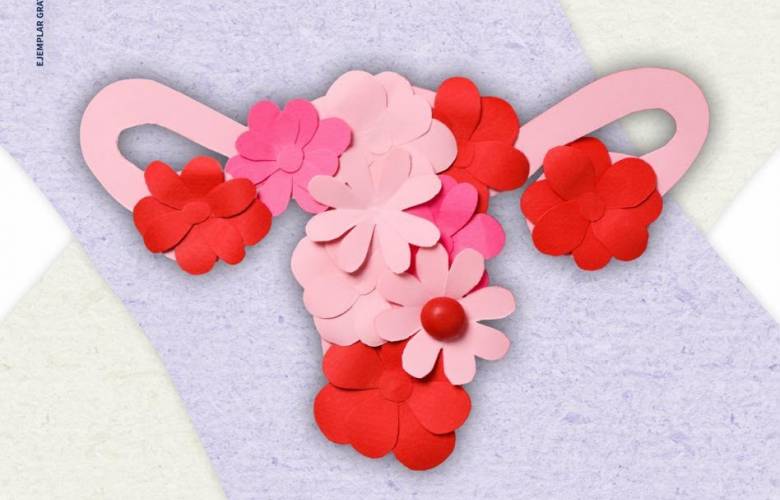 Promueve CODHEM la menstruación digna a través del quinto número de la revista DH Magazine