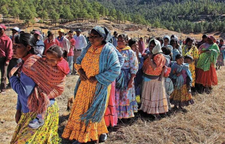 Aportan observaciones y comentarios a la Ley General de Derechos de Pueblos Indígenas y Afromexicanos