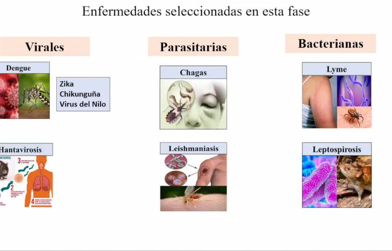 Científicos de la UNAM desarrollan Atlas de Enfermedades Infecciosas