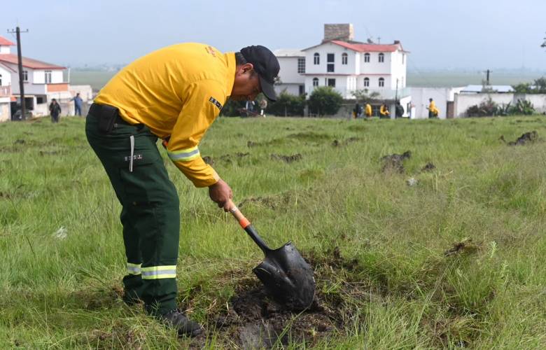 Realizan jornada de restauración forestal en Toluca para recuperar cuatro hectáreas de bosque