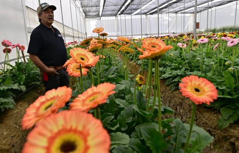 Impulsa EdoMéx Rutas de la Flor y el Mezcal para detonar turismo y economía regional