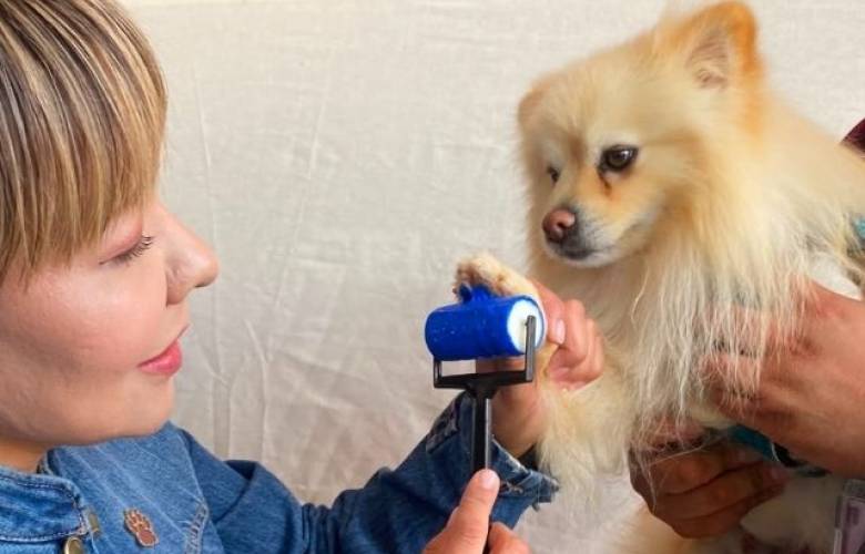 Conmemora Edoméx el Día Mundial del Perro con más de mil 200 servicios veterinarios y 29 adopciones