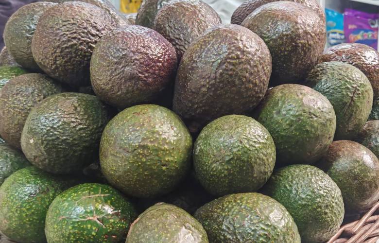 Impulsa Edomex exportación de aguacate hacia Canadá y busca ingresar al mercado de Estados Unidos